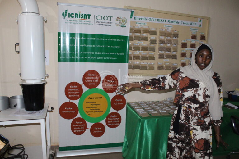 VISITE DES INFRASTRUCTURES SCIENTIFIQUES — BANQUE DE GENES CENTRE DE TRAITEMENT DES SEMENCES | ICRISAT – 20 février 2026