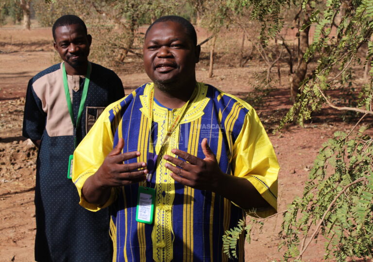 TECHNIQUES AGROFORESTIÈRES — DR KAPOURY SANOGO — TAMARINIERS GREFFÉS | ICRAF – 20 février 2026