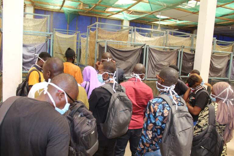 MULTIPLICATION — MOUCHE SOLDAT NOIRE | IER – 27 mars 2026